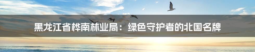 黑龙江省桦南林业局:绿色守护者的北国名牌