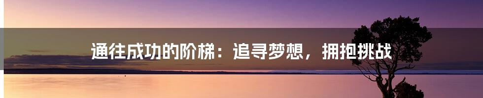 通往成功的阶梯:追寻梦想,拥抱挑战