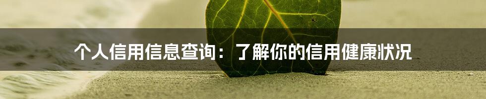 个人信用信息查询:了解你的信用健康状况