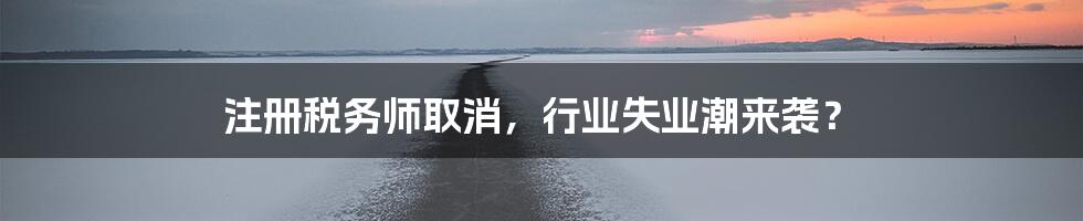 注册税务师取消，行业失业潮来袭？