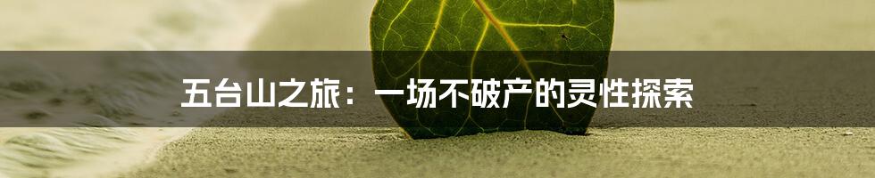 五台山之旅:一场不破产的灵性探索