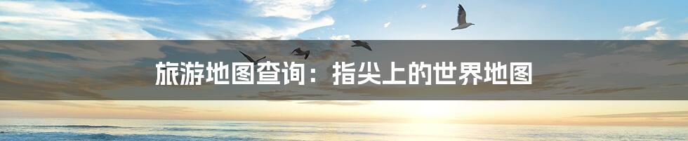旅游地图查询:指尖上的世界地图