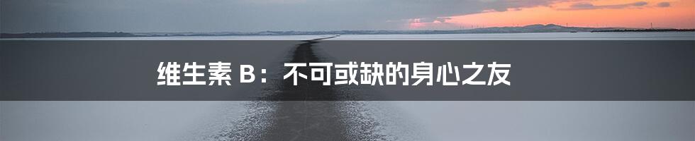 维生素 B:不可或缺的身心之友