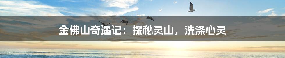 金佛山奇遇记:探秘灵山,洗涤心灵