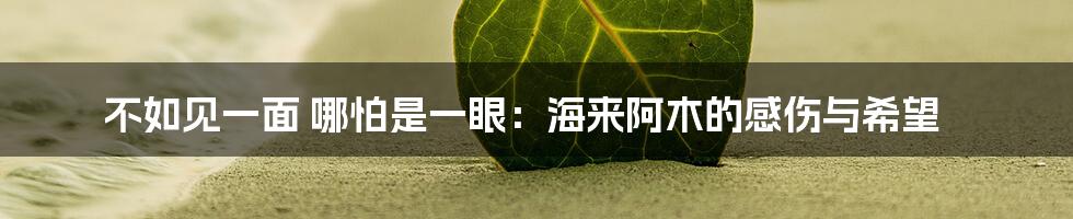 不如见一面 哪怕是一眼：海来阿木的感伤与希望