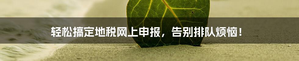 轻松搞定地税网上申报,告别排队烦恼!