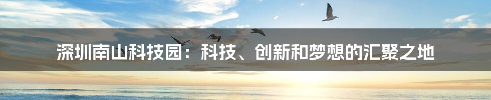 深圳南山科技园：科技、创新和梦想的汇聚之地