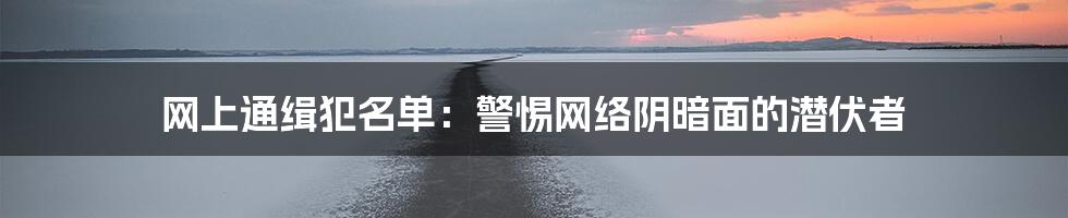 网上通缉犯名单:警惕网络阴暗面的潜伏者
