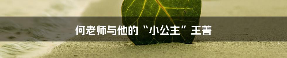何老师与他的“小公主”王菁