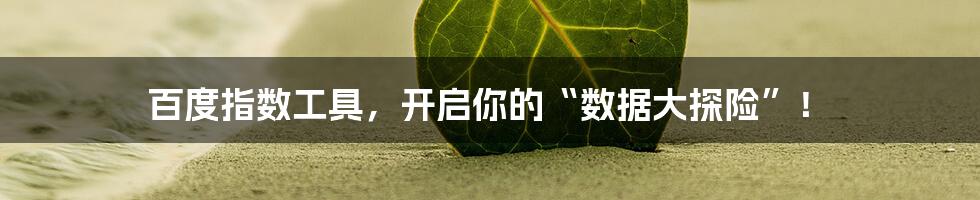 百度指数工具,开启你的“数据大探险”!