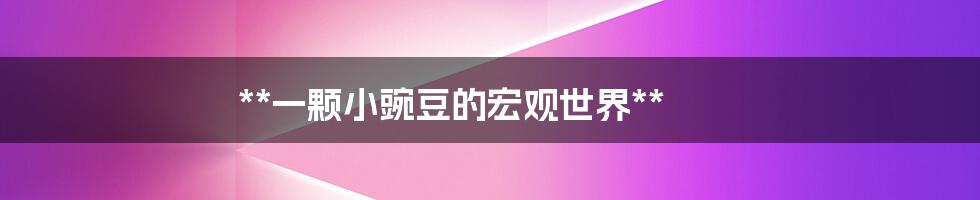 **一颗小豌豆的宏观世界**