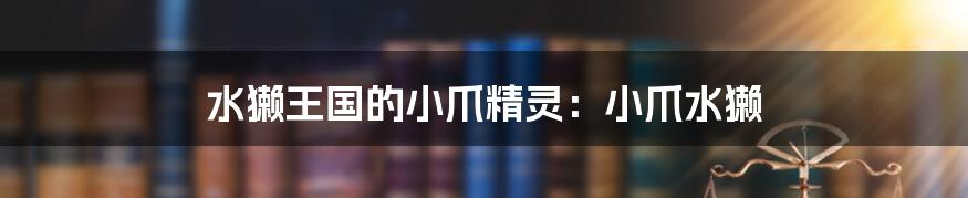 水獭王国的小爪精灵:小爪水獭