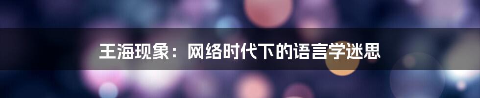 王海现象：网络时代下的语言学迷思