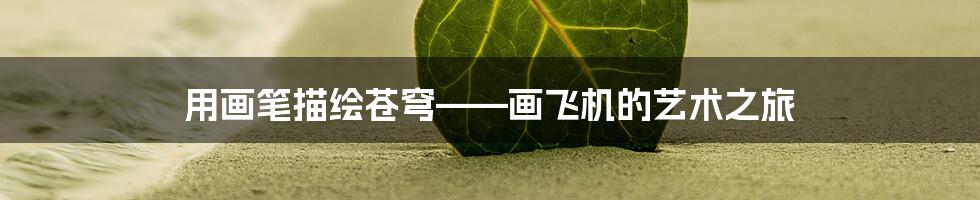 用画笔描绘苍穹——画飞机的艺术之旅