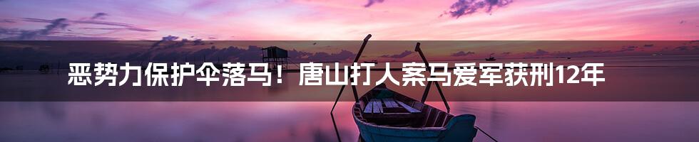 恶势力保护伞落马!唐山打人案马爱军获刑12年