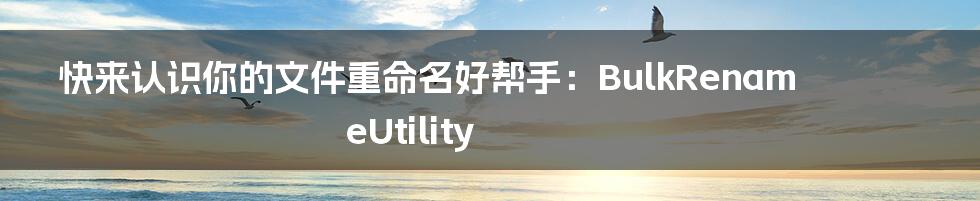 快来认识你的文件重命名好帮手:BulkRenameUtility