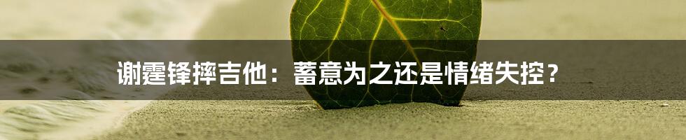 谢霆锋摔吉他：蓄意为之还是情绪失控？