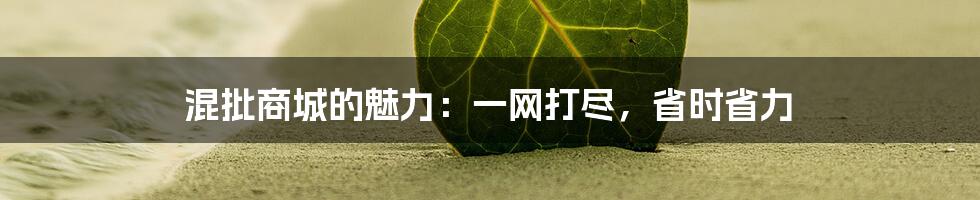 混批商城的魅力:一网打尽,省时省力