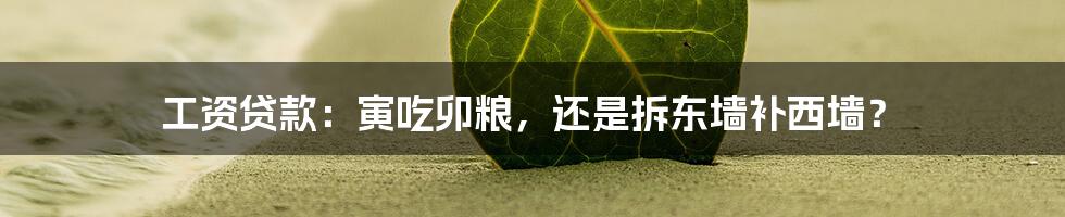 工资贷款:寅吃卯粮,还是拆东墙补西墙?