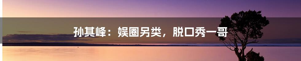 孙其峰:娱圈另类,脱口秀一哥