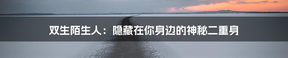 双生陌生人:隐藏在你身边的神秘二重身