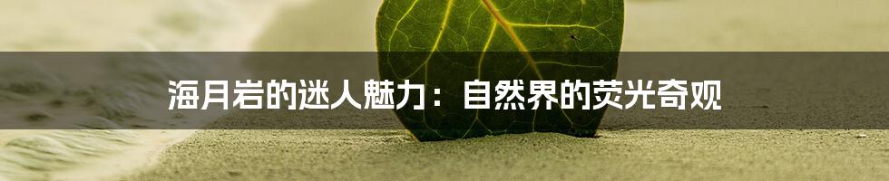 海月岩的迷人魅力:自然界的荧光奇观