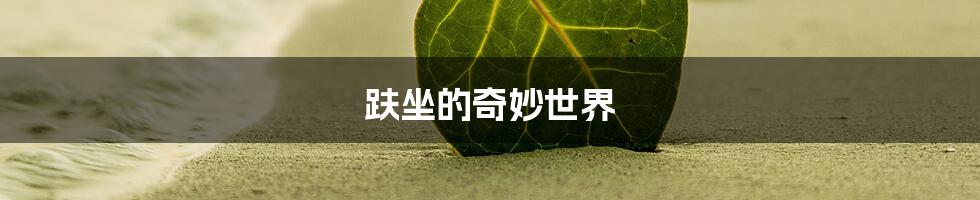 趺坐的奇妙世界