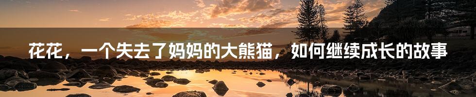 花花，一个失去了妈妈的大熊猫，如何继续成长的故事