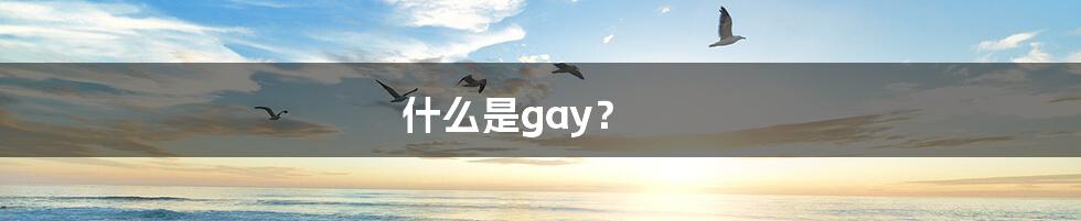 什么是gay?