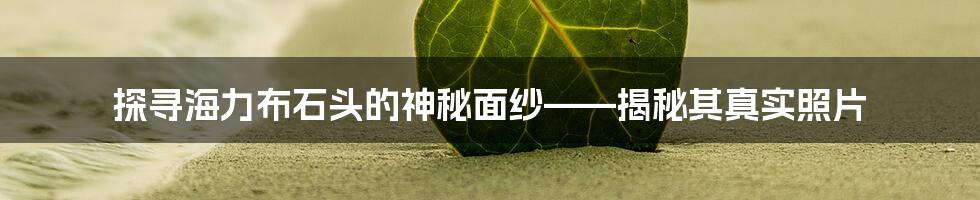 探寻海力布石头的神秘面纱——揭秘其真实照片