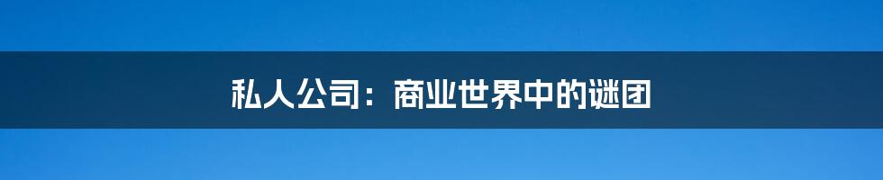 私人公司:商业世界中的谜团