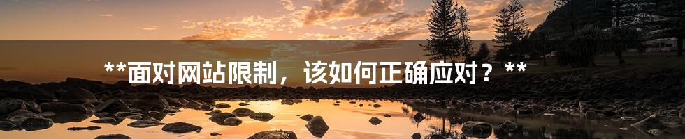 **面对网站限制,该如何正确应对?**