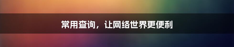 常用查询,让网络世界更便利