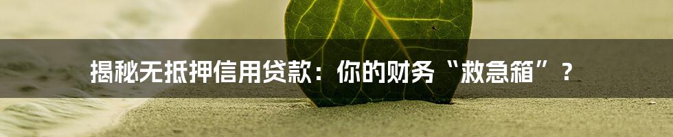 揭秘无抵押信用贷款:你的财务“救急箱”?