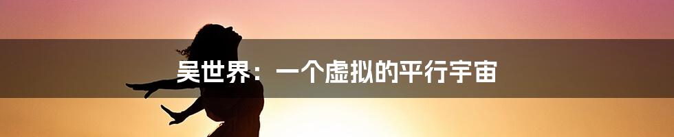 吴世界:一个虚拟的平行宇宙