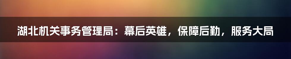湖北机关事务管理局:幕后英雄,保障后勤,服务大局