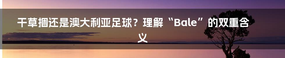 干草捆还是澳大利亚足球？理解“Bale”的双重含义