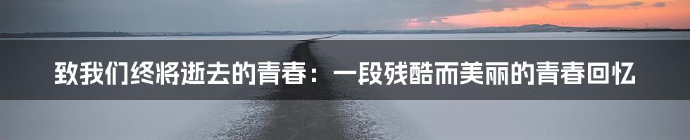 致我们终将逝去的青春:一段残酷而美丽的青春回忆