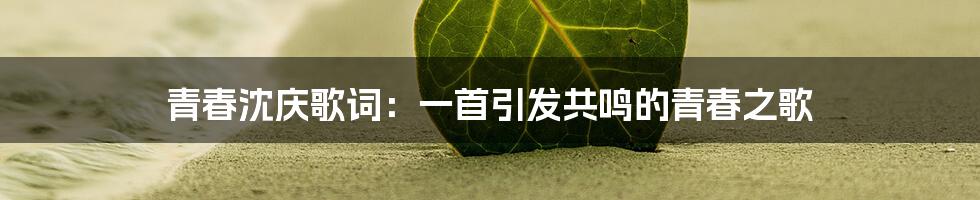 青春沈庆歌词:一首引发共鸣的青春之歌