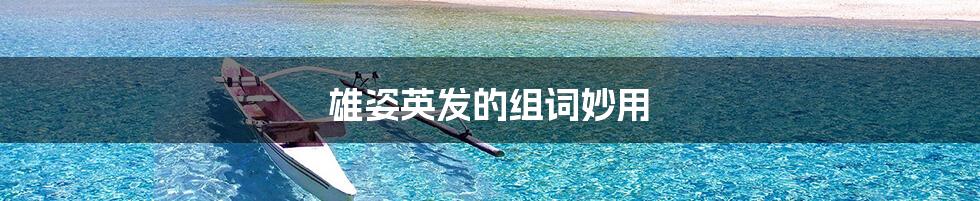 雄姿英发的组词妙用