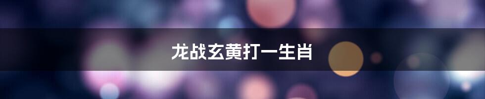 龙战玄黄打一生肖