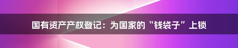 国有资产产权登记:为国家的“钱袋子”上锁