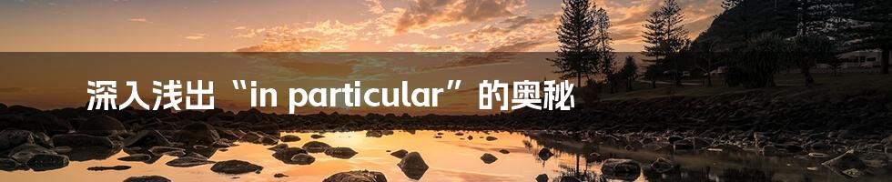 深入浅出“in particular”的奥秘