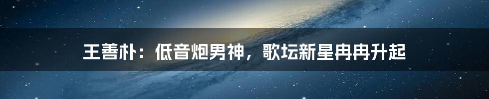 王善朴：低音炮男神，歌坛新星冉冉升起