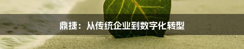 鼎捷:从传统企业到数字化转型