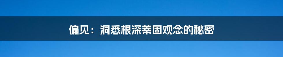 偏见：洞悉根深蒂固观念的秘密