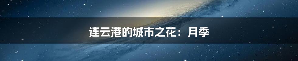 连云港的城市之花:月季