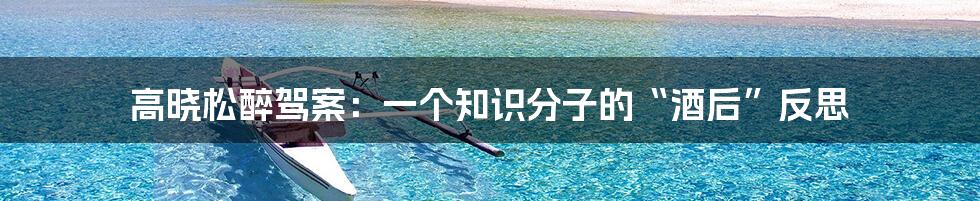 高晓松醉驾案:一个知识分子的“酒后”反思