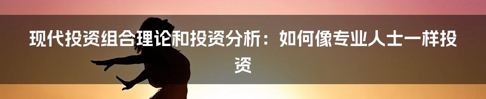 现代投资组合理论和投资分析:如何像专业人士一样投资