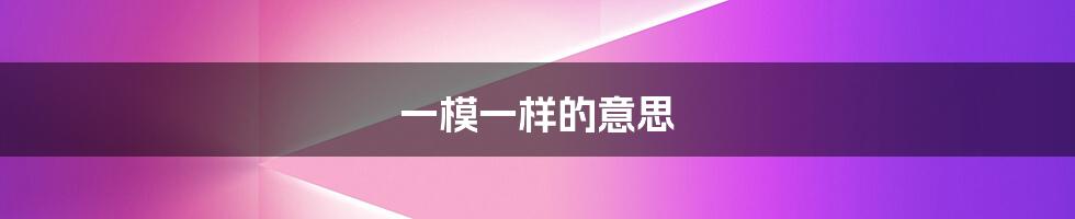 一模一样的意思